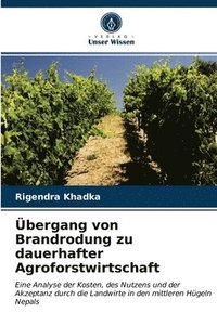 bokomslag UEbergang von Brandrodung zu dauerhafter Agroforstwirtschaft