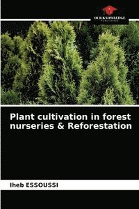 bokomslag Plant cultivation in forest nurseries & Reforestation