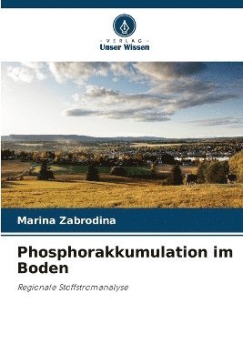 bokomslag Phosphorakkumulation im Boden