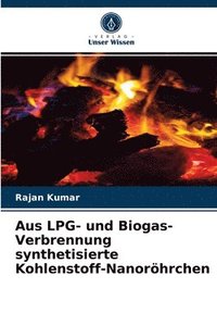 bokomslag Aus LPG- und Biogas-Verbrennung synthetisierte Kohlenstoff-Nanorhrchen