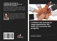 bokomslag L'effetto dei principi di raggruppamento del team sul successo del progetto