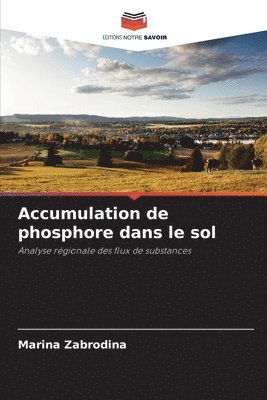 bokomslag Accumulation de phosphore dans le sol