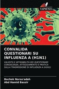 bokomslag Convalida Questionari Su Influenza a (H1n1)
