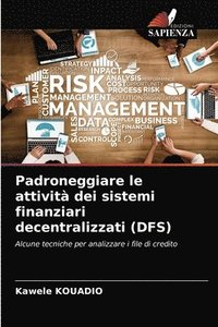 bokomslag Padroneggiare le attivit dei sistemi finanziari decentralizzati (DFS)