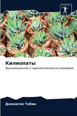 &#1050;&#1080;&#1083;&#1080;&#1086;&#1087;&#1072;&#1090;&#1099; 1