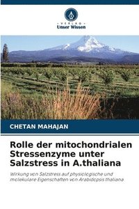 bokomslag Rolle der mitochondrialen Stressenzyme unter Salzstress in A.thaliana
