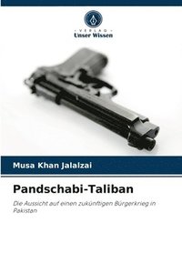 bokomslag Pandschabi-Taliban