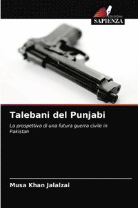 bokomslag Talebani del Punjabi