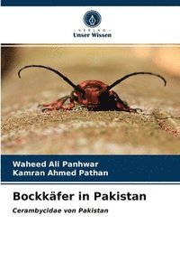 bokomslag Bockkfer in Pakistan
