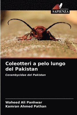 bokomslag Coleotteri a pelo lungo del Pakistan