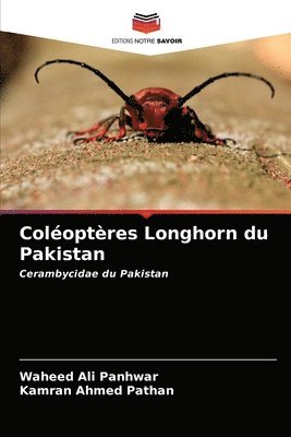 Coloptres Longhorn du Pakistan 1