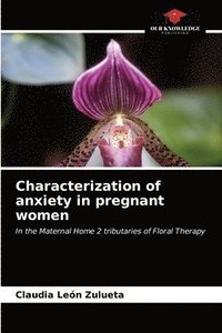 bokomslag Characterization of anxiety in pregnant women