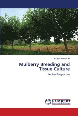 bokomslag Mulberry Breeding and Tissue Culture