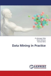 bokomslag Data Mining in Practice