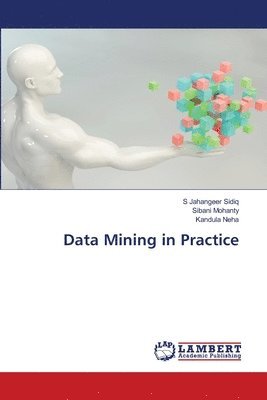 Data Mining in Practice 1