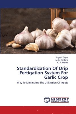 Standardization Of Drip Fertigation System For Garlic Crop 1