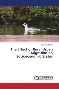 bokomslag The Effect of Rural-Urban Migration on Socioeconomic Status