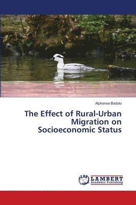 The Effect of Rural-Urban Migration on Socioeconomic Status 1