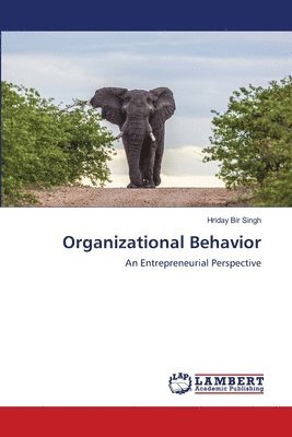 bokomslag Organizational Behavior