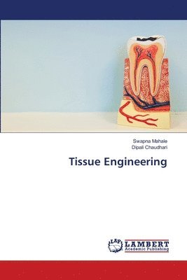 Tissue Engineering 1