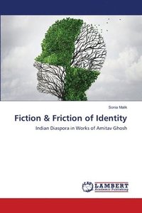 bokomslag Fiction & Friction of Identity
