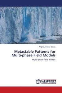 bokomslag Metastable Patterns for Multi-phase Field Models