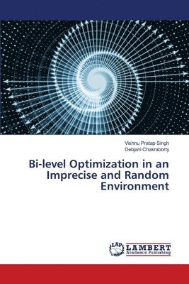 Vishnu Pratap Singh, Debjani Chakraborty - Bi-level Optimization in an Imprecise and Random Environment, Häftad