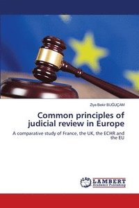 bokomslag Common principles of judicial review in Europe