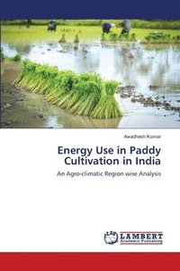 bokomslag Energy Use in Paddy Cultivation in India