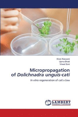 bokomslag Micropropagation of Dolichnadra unguis-cati