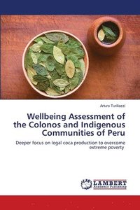 bokomslag Wellbeing Assessment of the Colonos and Indigenous Communities of Peru