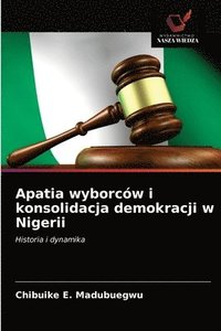 bokomslag Apatia wyborcw i konsolidacja demokracji w Nigerii