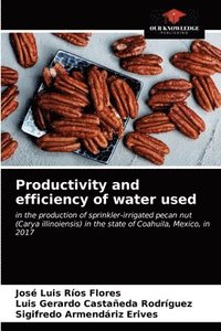 bokomslag Productivity and efficiency of water used
