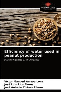bokomslag Efficiency of water used in peanut production