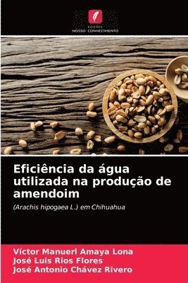 Eficincia da gua utilizada na produo de amendoim 1
