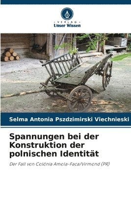 bokomslag Spannungen bei der Konstruktion der polnischen Identität