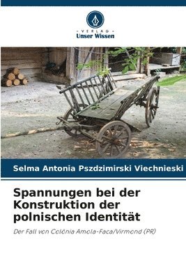 bokomslag Spannungen bei der Konstruktion der polnischen Identitt