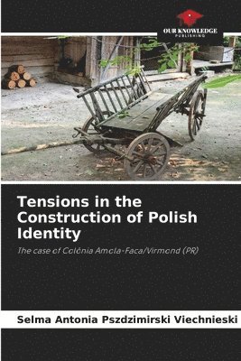 bokomslag Tensions in the Construction of Polish Identity