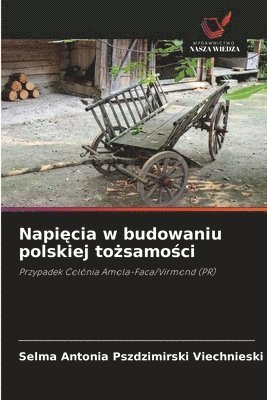 bokomslag Napi&#281;cia w budowaniu polskiej to&#380;samo&#347;ci