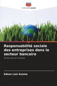 bokomslag Responsabilit sociale des entreprises dans le secteur bancaire