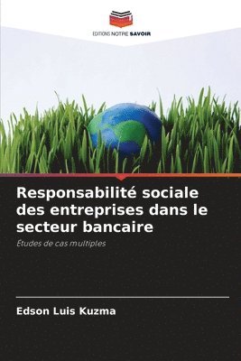 bokomslag Responsabilité sociale des entreprises dans le secteur bancaire