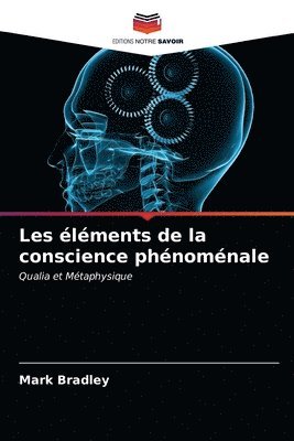 bokomslag Les lments de la conscience phnomnale