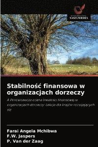 bokomslag Stabilno&#347;c finansowa w organizacjach dorzeczy