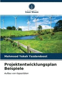 bokomslag Projektentwicklungsplan Beispiele