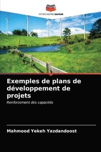 bokomslag Exemples de plans de dveloppement de projets