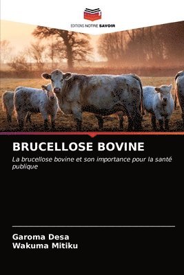 Brucellose Bovine 1