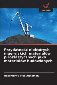 bokomslag Przydatno&#347;c niektrych nigeryjskich materialw piroklastycznych jako materialw budowlanych