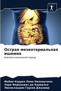 bokomslag &#1054;&#1089;&#1090;&#1088;&#1072;&#1103; &#1084;&#1077;&#1079;&#1077;&#1085;&#1090;&#1077;&#1088;&#1080;&#1072;&#1083;&#1100;&#1085;&#1072;&#1103; &#1080;&#1096;&#1077;&#1084;&#1080;&#1103;