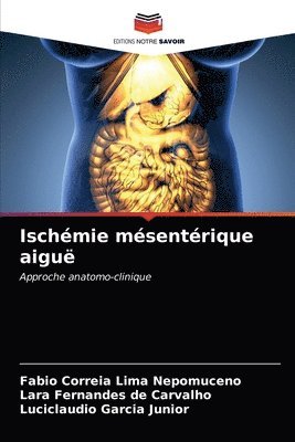 bokomslag Ischmie msentrique aigu