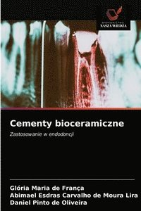 bokomslag Cementy bioceramiczne